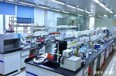 霍保玲 在化妆品技术开发中探寻科学与美的平衡